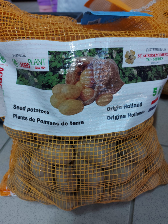 Cartofi samanta albi Lisellote 5KG clasa A 28/40 Olanda [0]