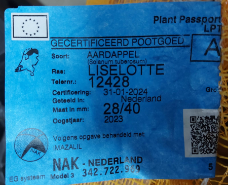 Cartofi samanta albi Lisellote 5KG clasa A 28/40 Olanda [1]