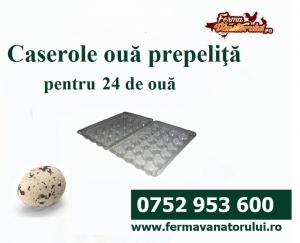 Accesorii - Caserolă pt. ouă de prepeliţe cu 24 de locașuri