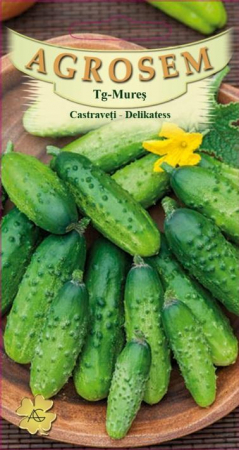 Legume - Castraveti Delikatess 1.5gr