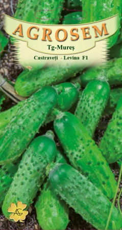 Legume - Castraveti Levina F1 3gr