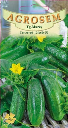Legume - Castraveti Libelle F1 2gr
