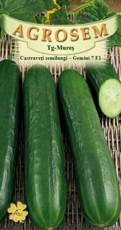 Legume - Castraveti semilungi Gemini 7 F1 0,7gr