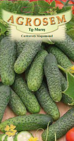 Legume - Castraveti Mapamond 1,5gr