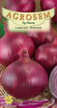 Legume - Ceapa rosie Brunswick 1.5gr