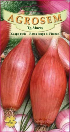 Legume - Ceapa rosie Rossa Lunga di Firenze 1.5gr