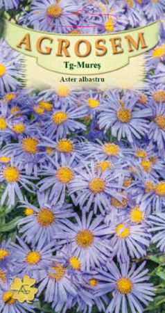 Legume - Aster albastru 0.05gr