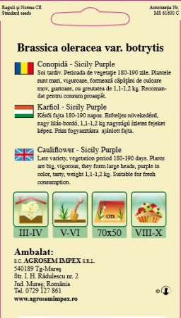 Conopida Sicily Purple 1gr [1]