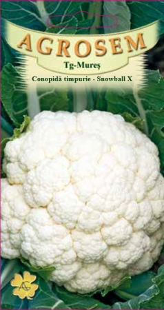 Legume - Conopida Snowball X 0,8gr