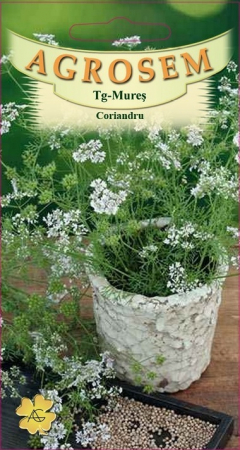 Plante Aromatice - Coriandru 2gr