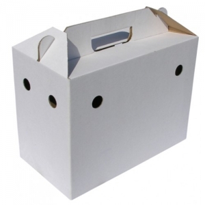 Porumbei - Cutie de carton pentru transportat porumbei