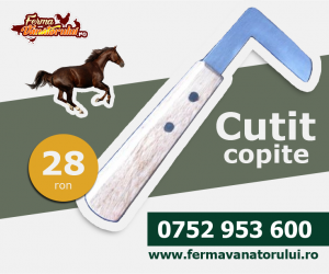 Curatare copite - Cuţit drept pentru curăţat copite