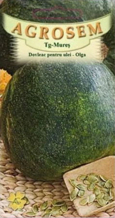 Plante Aromatice - Dovleac pentru ulei Olga 1.5g