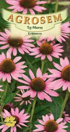 Plante Aromatice - Echinacea 0.5gr