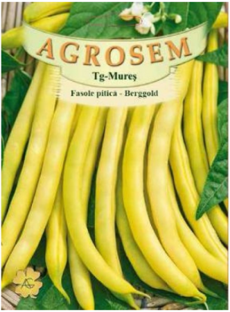 Fasole Pitica Galbena Berggold 50gr [0]