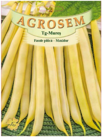 Legume - Fasole pitica galbena Maxidor 10gr