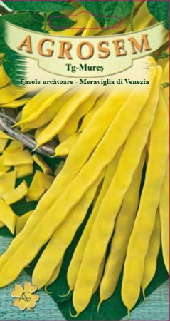 Fasole urcatoare lata Meraviglia di Venezia 40gr [0]