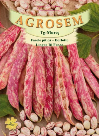 Legume - Fasole pitica tarcata Lingua di Fuoco 10gr