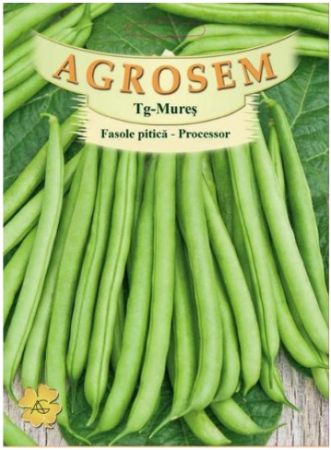 Legume - Fasole pitica verde Processor 10gr