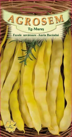 Fasole urcatoare galbena Auria Bacaului [0]