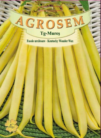 Legume - Fasole urcatoare Kentucky wonder wax 10gr