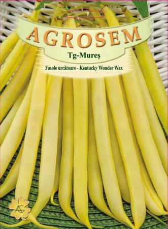 Legume - Fasole urcatoare Kentucky wonder wax 40gr