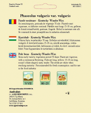 Fasole urcatoare Kentucky wonder wax 40gr [1]