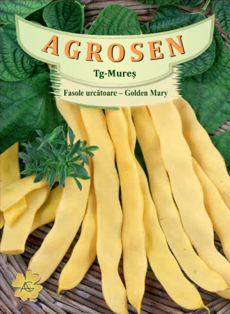 Legume - Fasole urcatoare galbena lata Golden Mary 80gr