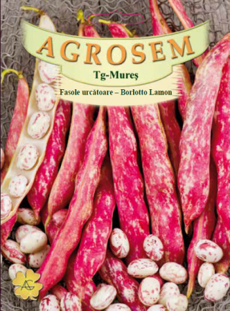 Fasole urcatoare tarcata Borlotto lamon 50gr [0]
