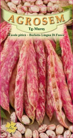 Fasole pitică tărcată Borlotto Lingua Di Fuoco 50gr [0]