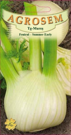 Plante Aromatice - Fenicul Summer early 1gr