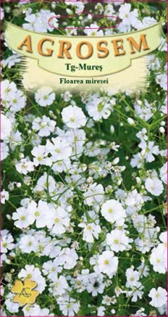 Flori - Floarea miresei albă 0.5gr