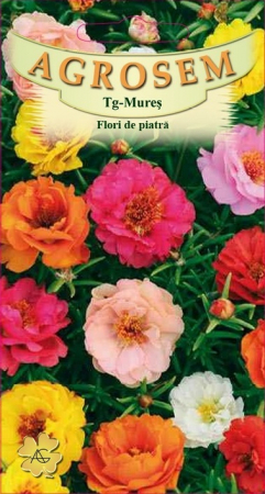 Flori - Flori de piatra mix 0.3gr