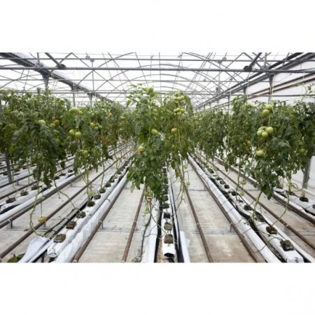 Folie mulcire alb-negru neperforata Politiv PolyDuo E1133, 30 microni, 1.2m x 500m [1]