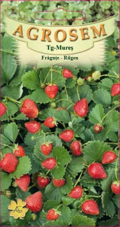 Fructe - Fragute Rugen 0.02gr