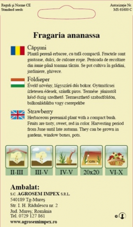 Căpșuni 10 semințe [1]