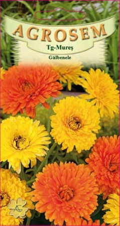 Flori - Galbenele mix 2gr