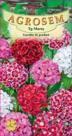 Flori - Garofite de gradina mix 0,3gr