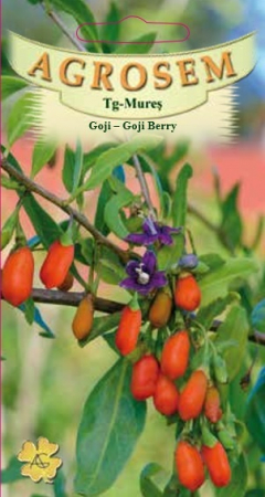 Plante Aromatice - Goji berry 10 seminte