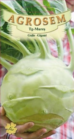 Legume - Gulii Gigant 2gr