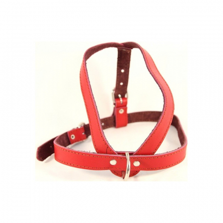 Animale de companie - Ham piele reglabil 70 - 80 cm Nr 3 rosu