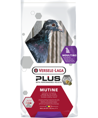 Hrană (furaje) - Hrană pentru porumbei Plus IC Mutine 20kg - Versele Laga