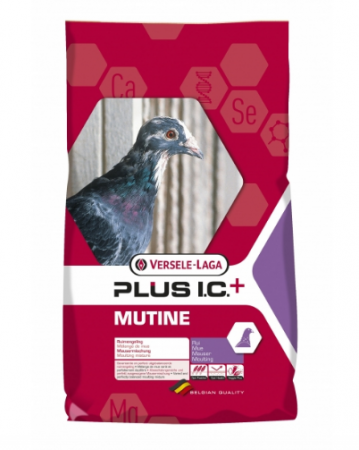 Hrană (furaje) - Hrană pentru porumbei Plus IC Mutine 20kg - Versele Laga