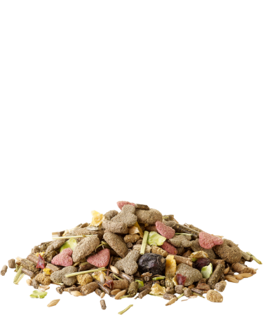 Hrana porcușori de guinea Crispy Muesli Guinea Pigs 850gr [1]