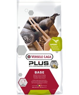 Hrană (furaje) - Hrana porumbei Base Plus IC 20kg - Versele laga
