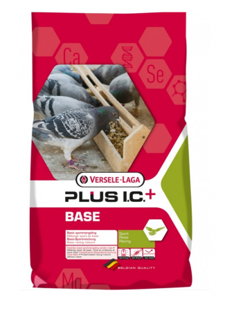 Hrană (furaje) - Hrana porumbei Base Plus IC 20kg - Versele laga