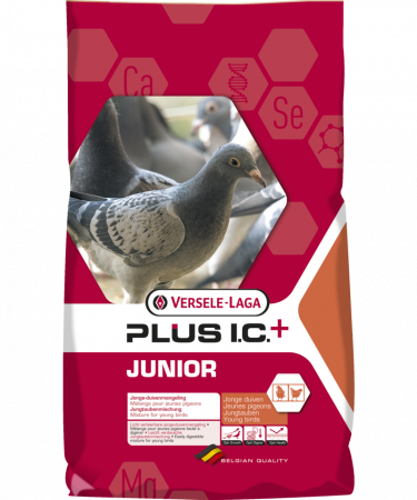 Hrană (furaje) - Hrană porumbei Junior Plus Versele Laga 20kg