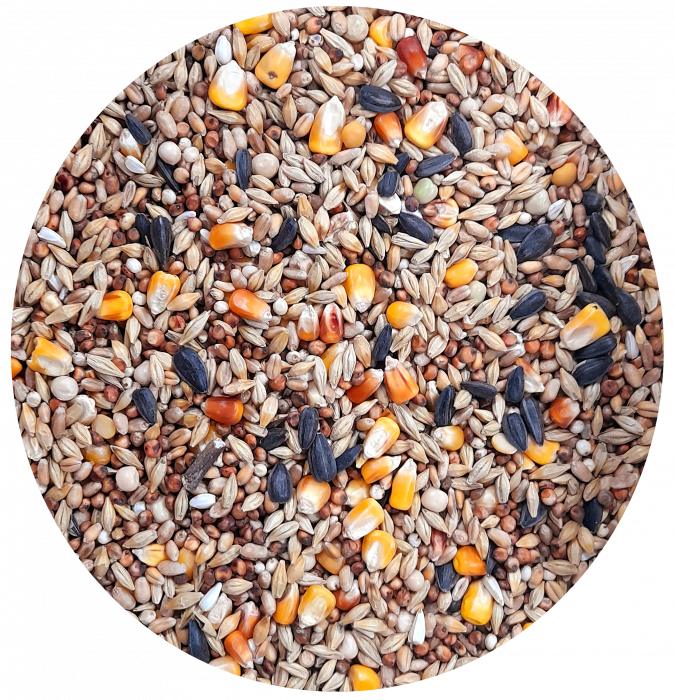 Hrana porumbei Classic Allround Eco 20 kg [1]