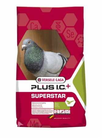 Hrană (furaje) - Hrană porumbei Superstar Plus IC 20 kg - Versele Laga