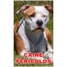 Animale de companie - Indicator câine periculos Amstaff